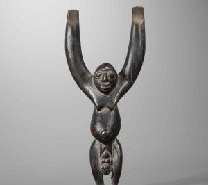 Exposition : L'art de faire mouche !