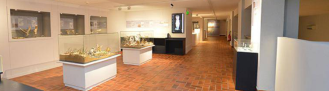 Terra Amata Musée d'Archéologie
