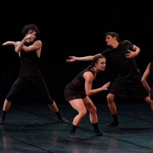 Festival de Danse de Cannes 2020 : une hausse de la fréquentation de 50%