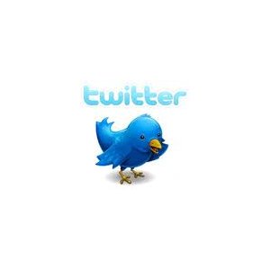 " Twitter : les secrets de l'info de poche"