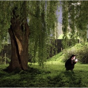  À la lumière, Mathieu Harel-Vivier 