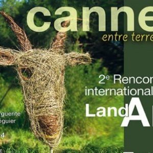 Ile sur art
