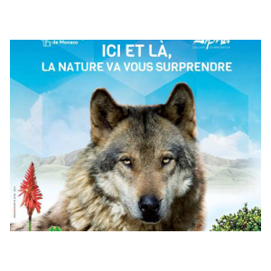 Loup y es tu ?