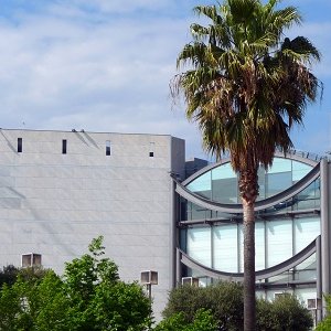 Musée d'Art Moderne et d'Art Contemporain MAMAC