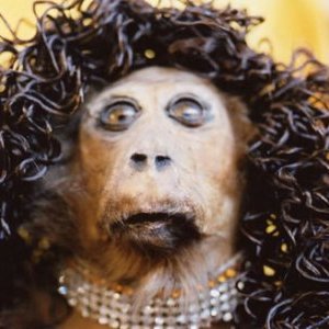 Rue Morgue