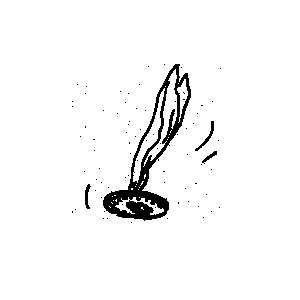 E vive le Pilou… (1/3)