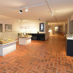 Terra Amata Musée d'Archéologie