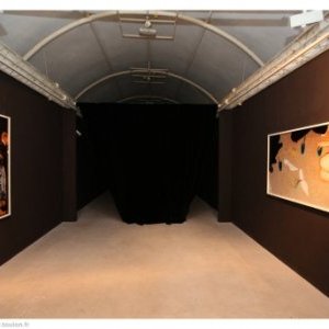 Galerie Contemporaine des Musées