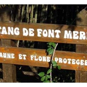 L'étang de Fontmerle
