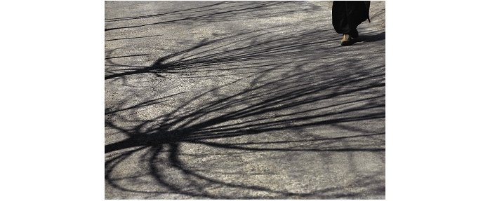 Jennifer Ajuriaguerra, L'arbre et le pied, série Ombres 2008