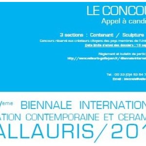 Candidatez pour la Biennale Internationale de Vallauris 2016