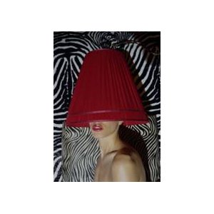 Exposition "Cacher pour mieux voir" à la Bibliothèque Louis Nucéra