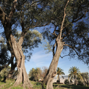 Conte du jardinier