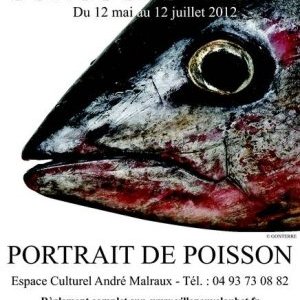 Concours photo à Villeneuve Loubet