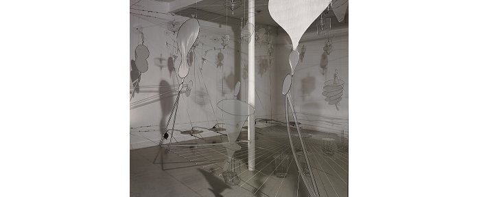 Silent-Listen, 2010 - Dessin dans l'espace, vue de l'installation galerie Andata-Ritorno 305 x 500 x 400 cm