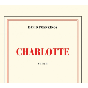 David Foenkinos