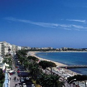 Cannes, silence, action !