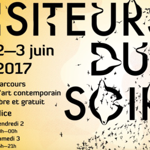 Nocturne de l'art contemporain "Les Visiteurs du Soir" aura lieu le vendredi 2 juin, de 18h à 00h avec un bonus le samedi 3 juin, de 15h à 21h, à Nice.