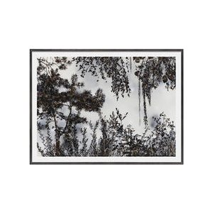 Stefan Sehler, photographie ou peinture ?