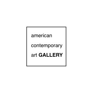 American Gallery contemporary art (Lieu fermé)