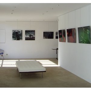 Galerie d'Art Pascal Lainé - Art Contemporain