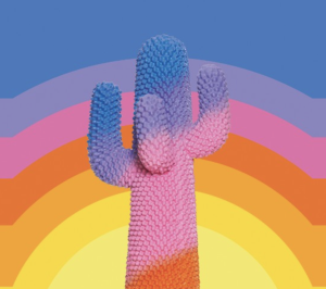 "Cactus" à découvrir au Nouveau Musée National de Monaco à partir du 6 juillet